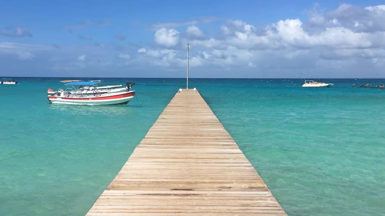Saona Island Tour with Lunch from Santo Domingo