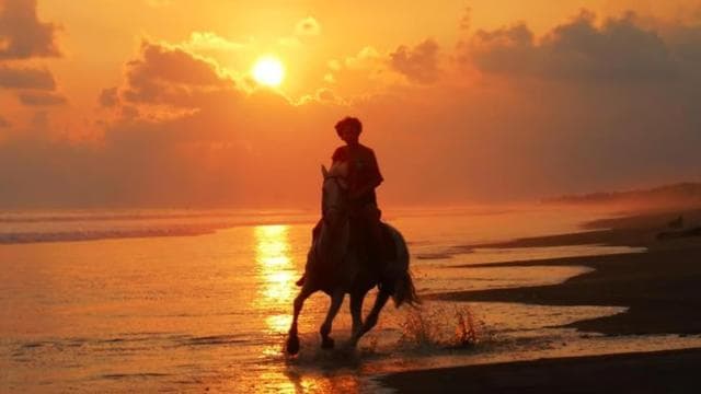 Esterillos Este: Manuel Antonio Beach Horseback Ride