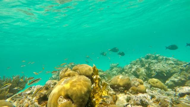 From Fajardo: Icacos Island Boat Trip and Beach Day Package - Dominican Republic