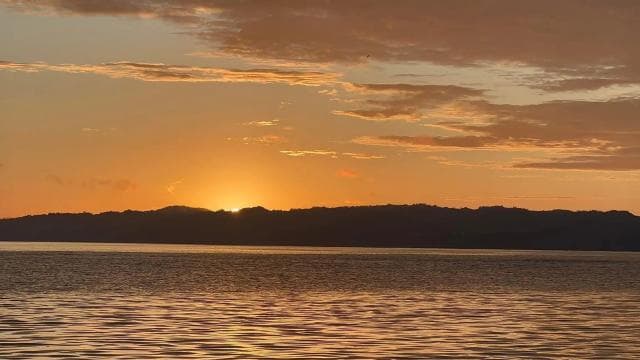 Puerto Jimenez: Kayak Adventure in the Golfo Dulce + Bioluminescence