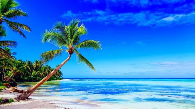 Punta Cana: Catamaran Boat to Saona Island with Buffet Lunch