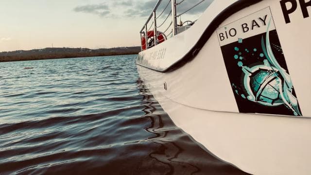 Vieques: Bioluminescent Bay Boat Tour