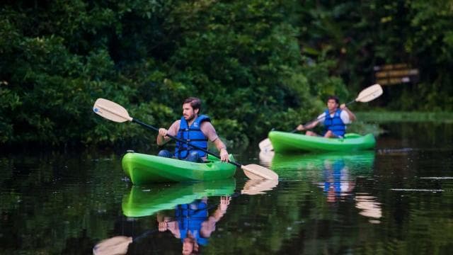 Uvita: Terraba Sierpe Wildlife Mangrove Kayak Tour CostaRica