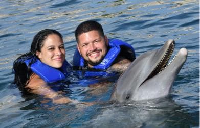 Ocean World Dolphin Swim & Sea Lion Combo from Puerto Plata