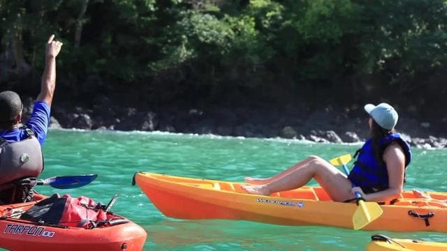 Uvita: Private Ocean Kayak & Snorkel Marino Ballena N. Park