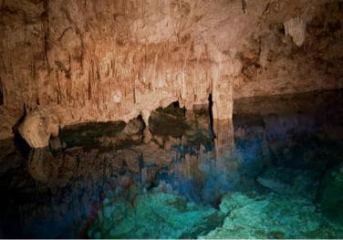 Private: Bayahibe: Jungle Walk and Cenote Snorkeling Tour
