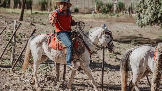 Horseback riding half day: Horsebackriding+ lunch+ hotspring