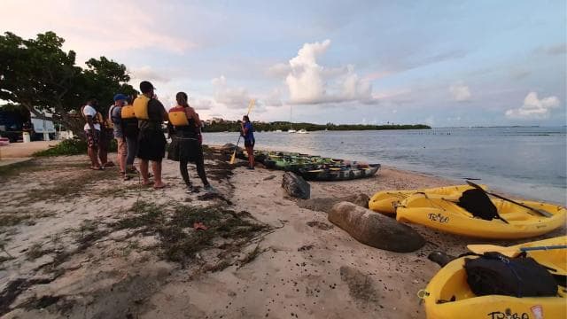 San Juan: Bioluminescent Laguna Grande Bay Night Kayaking