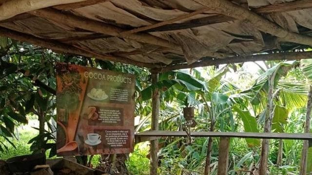3-Hour Panoramic Tour of Punta Cana with Artisan Market