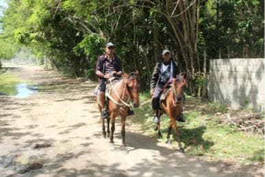 Beach horse back riding with countryside - Dominican Republic