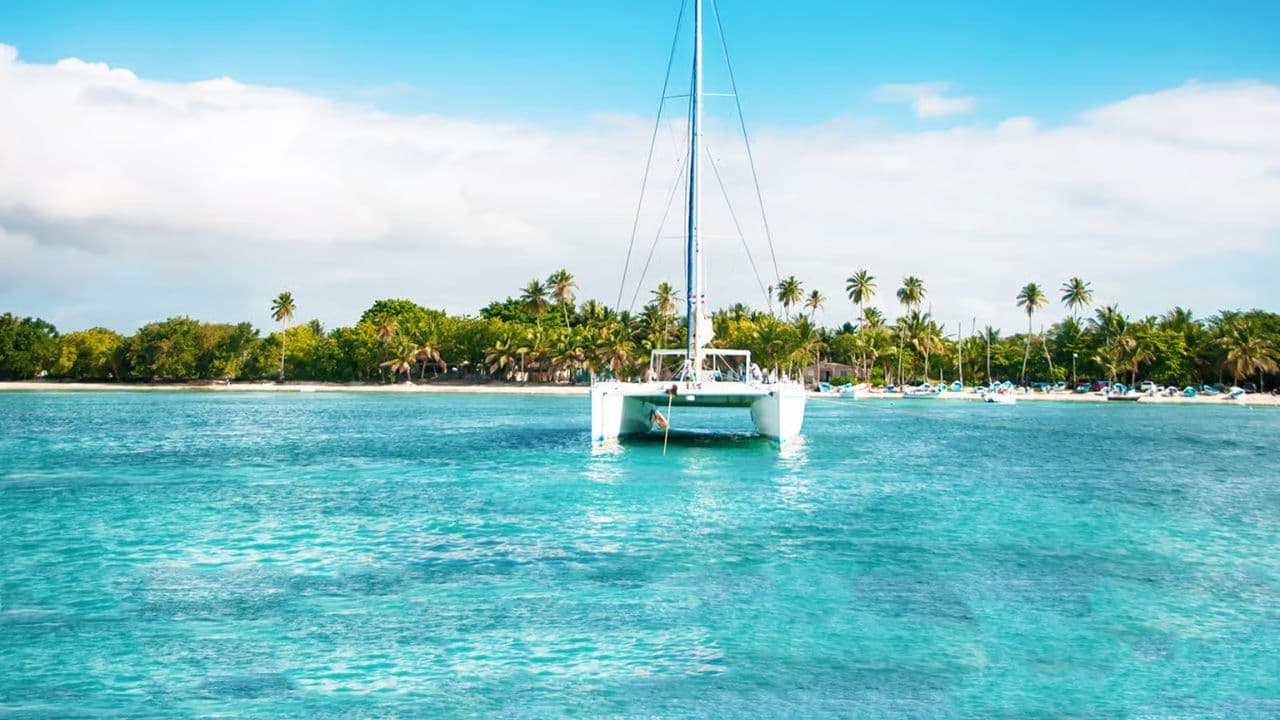 Saona Island Delights Tour from Punta Cana / Bavaro