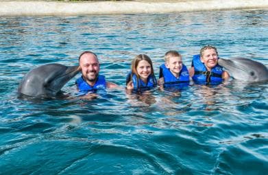 Puerto Plata: Ocean World Adventure Park Swim with Dolphins