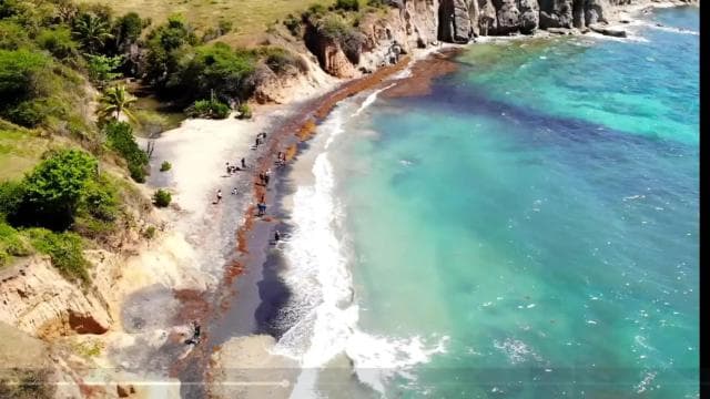 Vieques Adventure by Ferry from Ceiba.