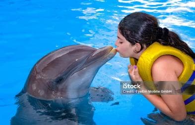 Punta Cana: Dolphin Explorer Park Entry, Swim, or Encounter