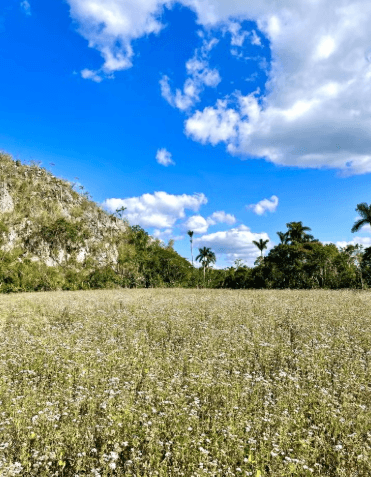 Viñales Sunset Hike - Dominican Republic