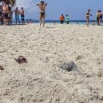 Puerto Plata: Day Trip to Cayo Arena Island by Speedboat