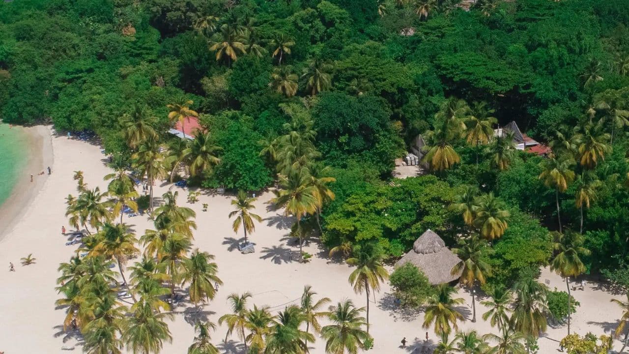 Samaná Adventure: Rincón Beach & Cayo Levantado Experience