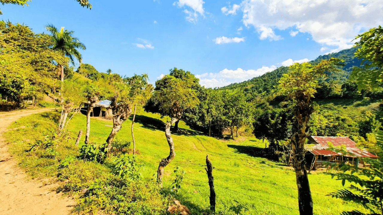 Puerto Plata Trekking - Experience of Nature and Folklore