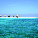 Cayo Arena: Paradise Island Tour Sosua o Cabarete