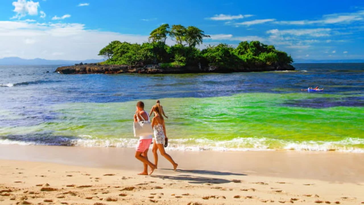 Samana: Full day Samana Amazing tour Punta Cana - Dominican Republic