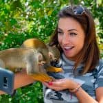 From Bayahibe: Half Day Monkeyland Safari