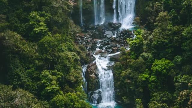 Nauyaca Waterfall: Shuttle Service, Park Ticket & Lunch