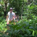 El Limón Waterfall & Los Haitises Private Tour From Samaná