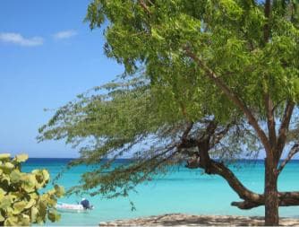 Bahía de las Aguilas: Beach Day Trip by Boat - Dominican Republic