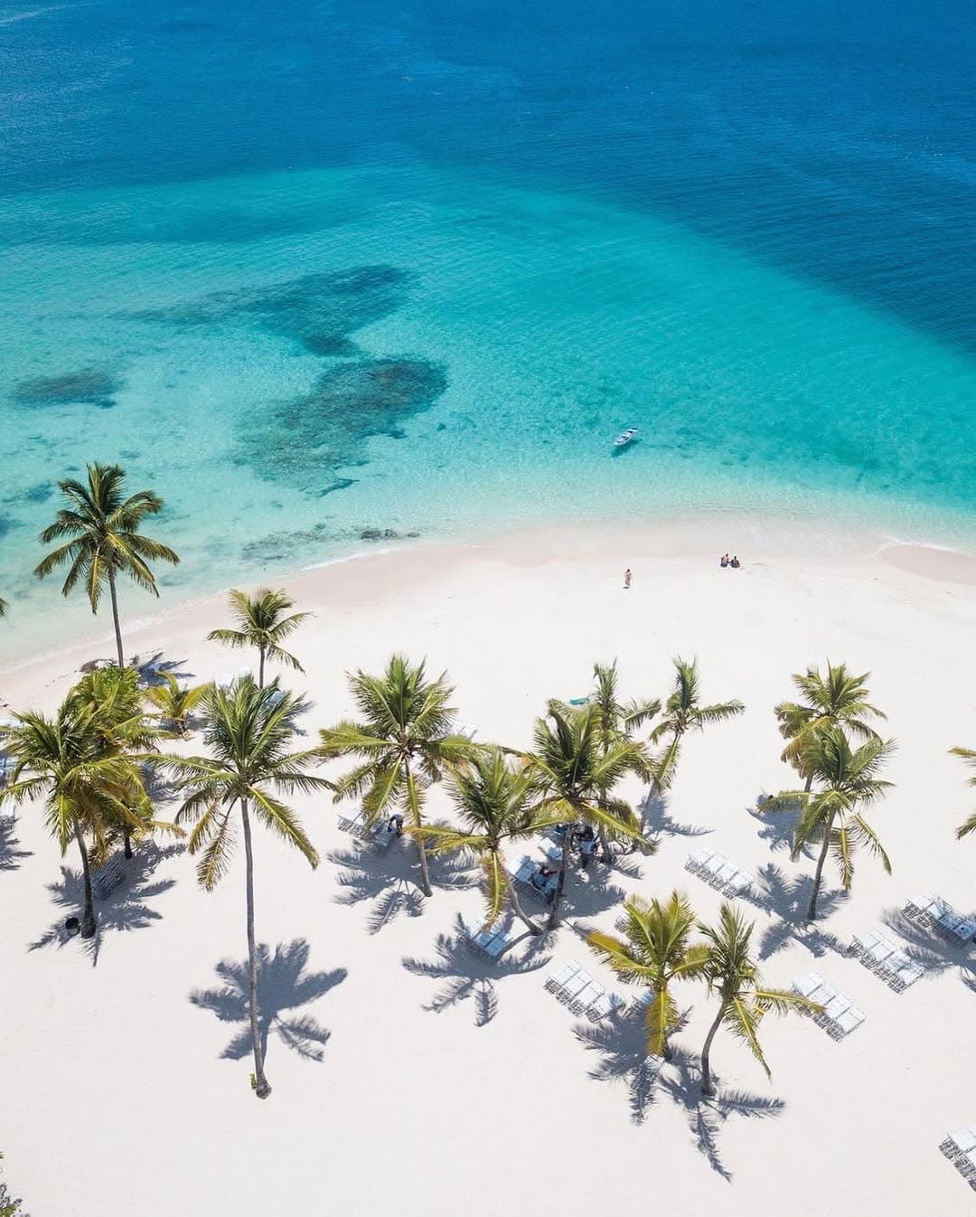 Los Haitises to Samaná One-Way Catamaran Tour | Cayo Levantado