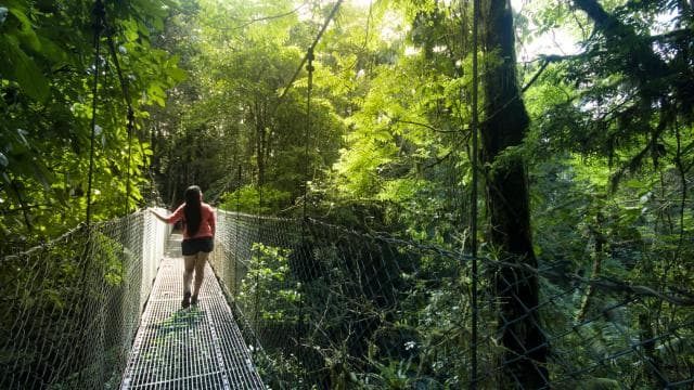 Arenal National Park: Hanging Bridges Small Group Tour - Dominican Republic