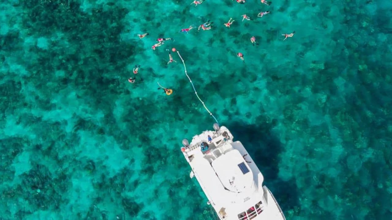 Punta Cana: Full-Day Snorkeling Tour to Catalina Island