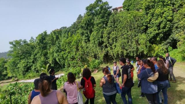 Moca, PR: Cacao Farm Walking Tour and Chocolate Tasting