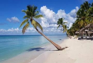 From Santo Domingo: Saona Island Catamaran and Speedboat