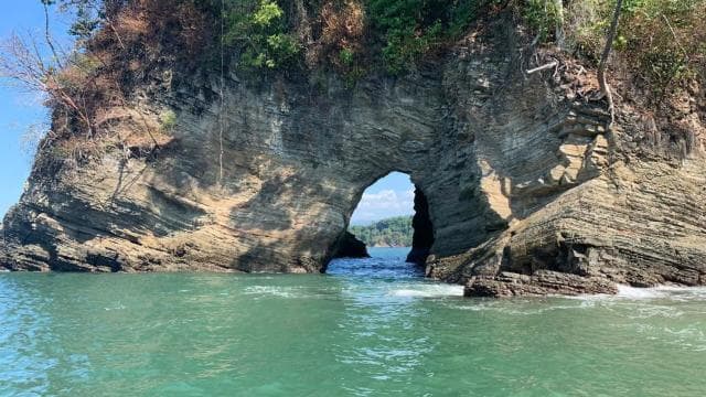 Marino Ballena National Park: Watching Whales and Dolphins