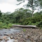 Salto La Jalda (Wandern und Schwimmen) - Dominican Republic
