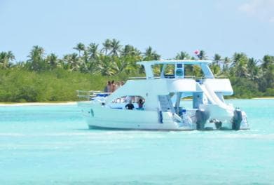 Samana: Half Day Whale Watching Humpback Whale Watching