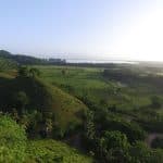 Private Boat Trip & 2 Hours Hiking Rain Forest Los Haitises
