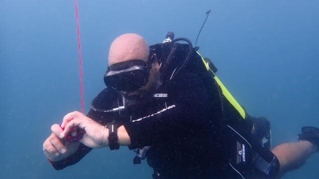 Golfito, Costa Rica: PADI Open Water Diver Certification - Dominican Republic