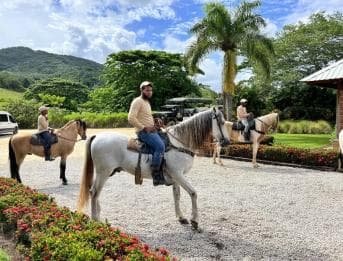 Punta Cana: Buggy and Zipline Adventure at La Hacienda