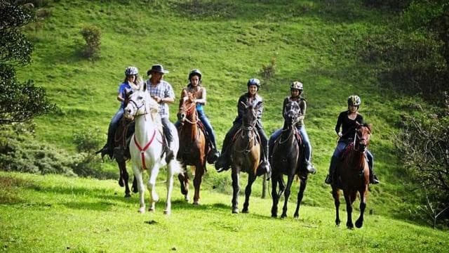 Monteverde: Horseback Riding Tour