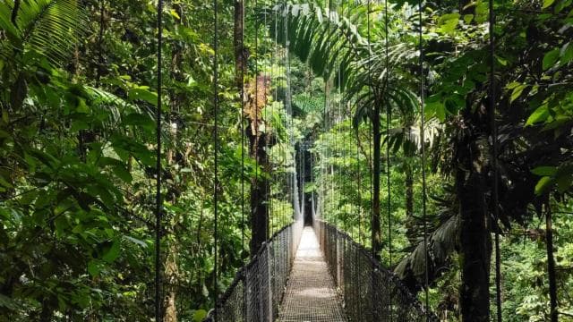 Fortuna Combo: Hanging Bridges + Arenal Volcano & Waterfall