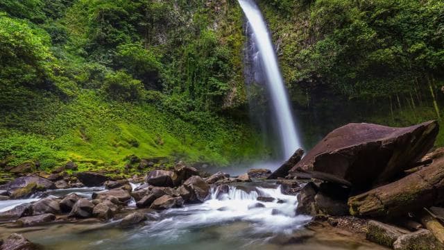 La Fortuna: Half-Day Waterfall Tour with Lunch