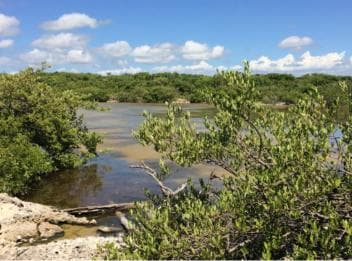 Jaragua National Park: Explore Laguna de Oviedo