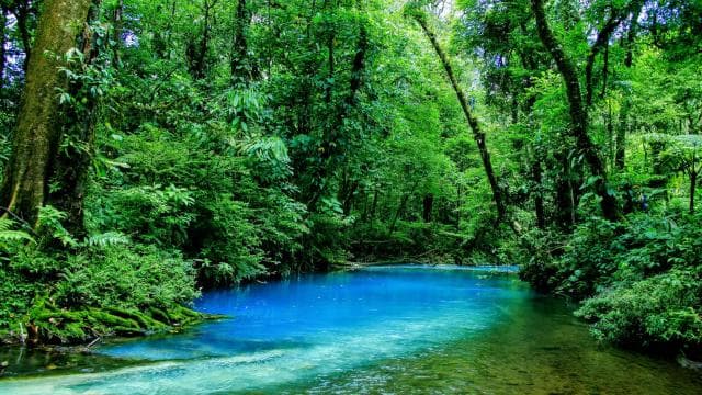 Tamarindo: Celeste River and Llanos de Cortez Waterfall