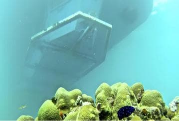Experience the Exciting Caribbean Underwater World