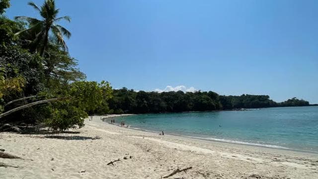 Manuel Antonio National Park: Animal watching hike