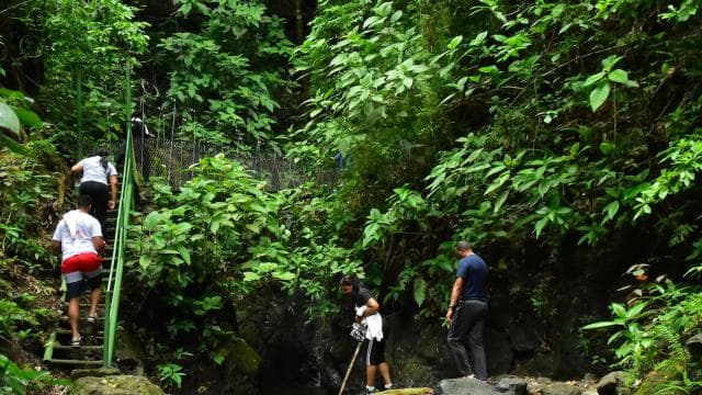 Jaco Beach: Zip-lining, Horseback Tour Combo
