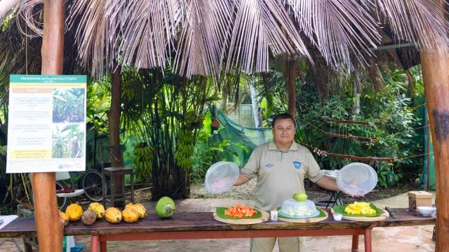 Tortuguero boat tour, Maratopia tropical garden & beach, incl. fruit