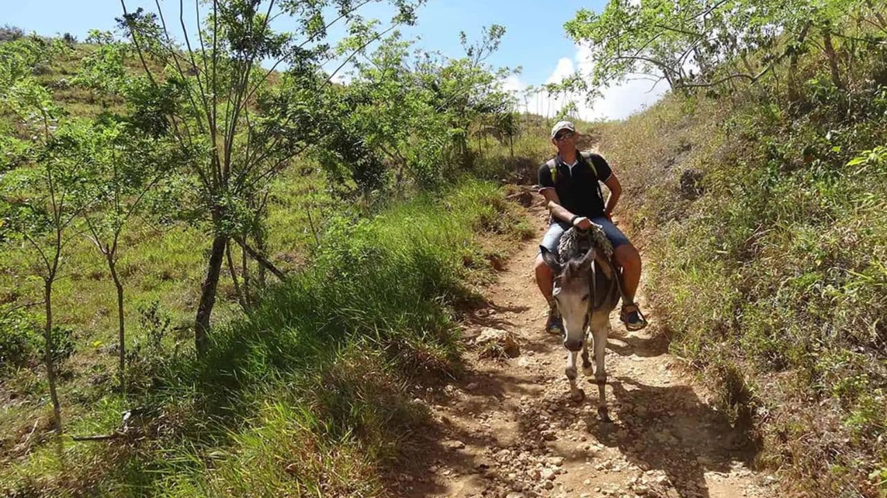 Dominican Republic: El Limón Waterfall Horseback Riding Tour