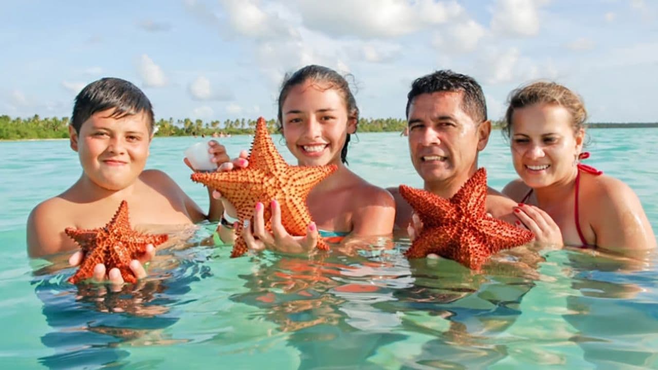 Punta Cana: Saona Island Full-Day with Buffet and Pickup